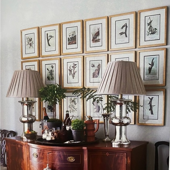 🖤5/$25 Antique Ornithological Bird Print Original wood pecker - Picture 10 of 13